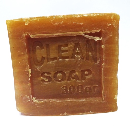 SAVON CLEAN 360G