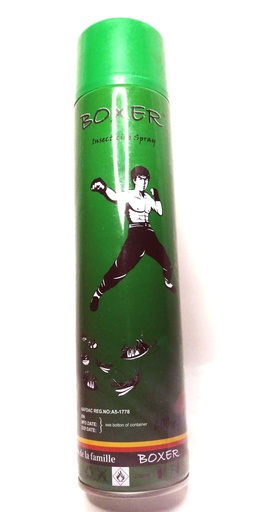 BOXER INSECTICIDE 300ML