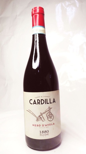 CARDILLA SYRAH 1880